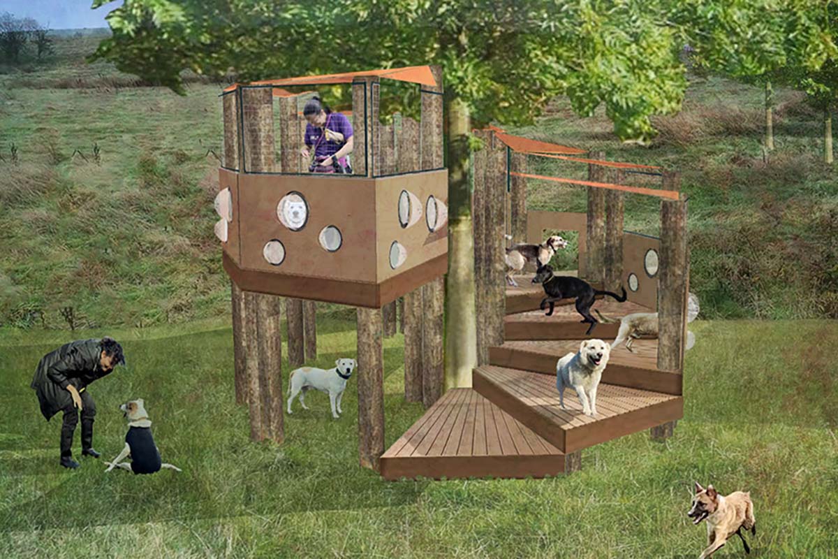 Dog Adventure Park 01